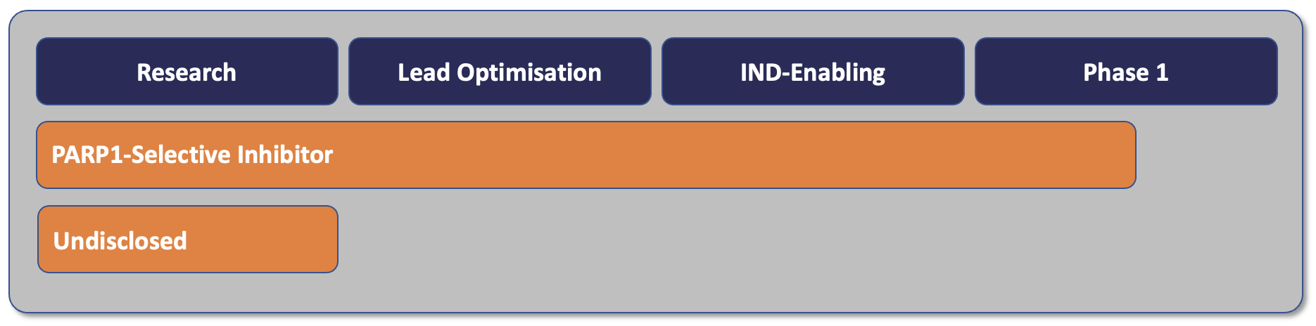 DSB Pipeline